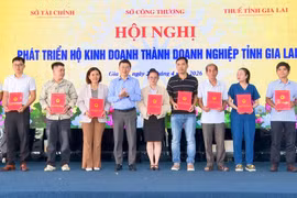 Gia Lai thúc đẩy chuyển đổi hộ kinh doanh thành doanh nghiệp