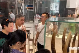 Ai kiểm soát lời thuyết minh tại các điểm đón khách quốc tế?