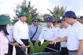 Từ Tiên Nữ đến Núi Le C: Khát vọng xanh giữa trùng khơi
