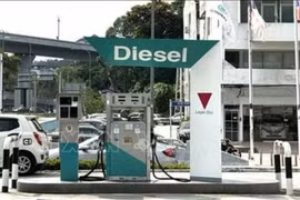 Malaysia nâng tỷ lệ pha trộn diesel sinh học lên B15 từ ngày 1-6
