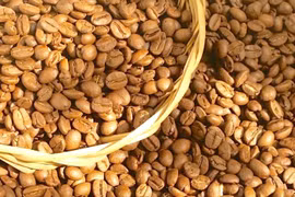 Ngày 7-6, cà phê giảm thêm 600 đồng/kg