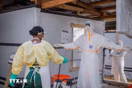 WHO cảnh báo đợt bùng phát dịch Ebola tại CHDC Congo có thể lớn gấp 2-4 lần