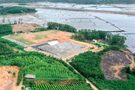 Gia Lai tăng cường bảo vệ môi trường, xử lý nghiêm các hành vi vi phạm