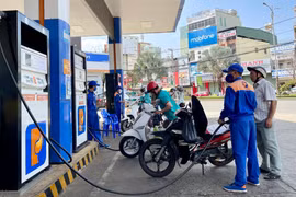 Toàn bộ hệ thống cửa hàng Petrolimex Gia Lai chuyển sang kinh doanh xăng sinh học E10 từ ngày 1-6