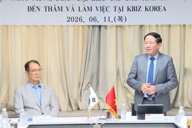 Chủ tịch UBND tỉnh Phạm Anh Tuấn làm việc với các tổ chức, doanh nghiệp Hàn Quốc