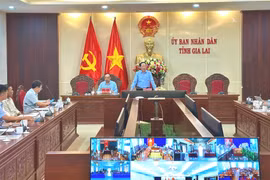 Chủ tịch UBND tỉnh Phạm Anh Tuấn làm việc với các doanh nghiệp có dự án chuyển đổi diện tích cây cao su
