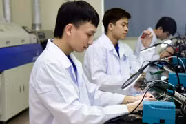 Doanh nghiệp cần sinh viên ngành nào nhất trong kỷ nguyên AI?