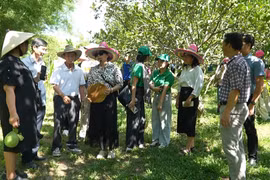 Xã Canh Vinh ra mắt tour du lịch kết nối các điểm đến trên địa bàn