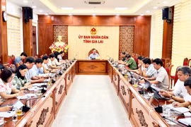 Gia Lai: Đẩy nhanh việc thực hiện nghị quyết của HĐND tỉnh về chuyển đổi nghề, giải bản tàu cá
