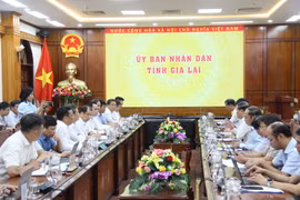 UBND tỉnh Gia Lai làm việc với Tập đoàn Điện lực Việt Nam về Quy hoạch điện VIII điều chỉnh