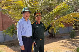 Dừa Gia Lai vươn mình giữa Trường Sa