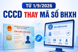Từ 1-9 dùng số căn cước thay mã BHXH: Người dân có phải đổi sổ, thẻ BHYT?