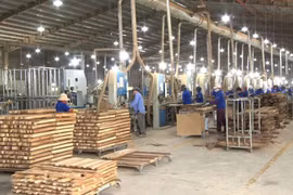 Quy định chống mất rừng của Liên minh châu Âu: Cơ hội tái cấu trúc ngành nông - lâm nghiệp 