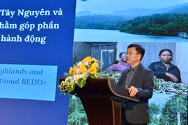 Gia Lai tham gia khởi động Dự án Giảm thiểu khí thải khu vực Tây Nguyên và Duyên hải Nam Trung Bộ