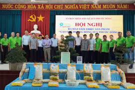 Xã Tuy Phước Đông ra mắt thương hiệu “Gạo Quê Hương Đồng Tuy Phước Đông”