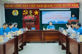 Tổng LĐLĐ Việt Nam khảo sát việc thực hiện Nghị quyết 6a tại LĐLĐ tỉnh Gia Lai