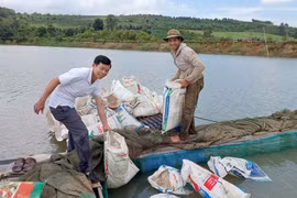 Hỗ trợ 30 nghìn con cá giống cho 20 hộ dân làng Đak Mong