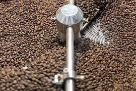 Cà phê trong nước tăng thêm 700 đồng/kg trong ngày 23-5