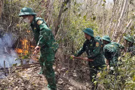 350 người khẩn trương chữa cháy rừng tại phường Quy Nhơn Nam