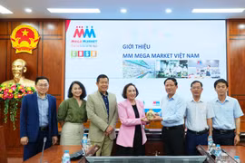 Chủ tịch UBND tỉnh Phạm Anh Tuấn làm việc với Công ty TNHH MM Mega Market Việt Nam