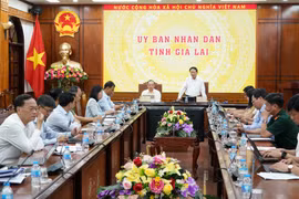 Đẩy nhanh tiến độ thực hiện các chương trình mục tiêu quốc gia giai đoạn 2026-2035
