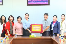 Phó Chủ tịch HĐND tỉnh Huỳnh Thúy Vân thăm doanh nghiệp đầu tư tại Attapeu 