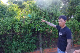 Bắt 2 đối tượng “đập đá” trên xe ô tô, lật tẩy nhóm mua bán ma túy