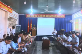 Gia Lai tìm mô hình nông lâm kết hợp phù hợp