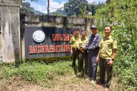 Lãnh đạo Hạt Kiểm lâm khu vực Đức Cơ bàn giao cá thể rùa đất lớn cho Trung tâm Cứu hộ, Bảo tồn và Phát triển sinh vật (Vườn quốc gia Kon Ka Kinh) chăm sóc. Ảnh: N.D