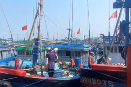 Các địa phương ven biển đều đã bố trí nơi neo đậu an toàn cho tàu thuyền khi bão đến. Ảnh: N.N