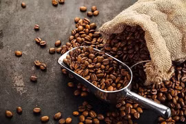 Tại Gia Lai, cà phê giảm sâu nhất với 2.500 đồng/kg, về giá 115.000 đồng/kg trong ngày 4-10. Ảnh: Internet