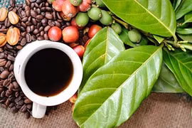 Giá cà phê trong nước ổn định phiên đầu tuần. 