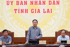 Chủ tịch UBND tỉnh Phạm Anh Tuấn phát biểu chỉ đạo tại cuộc họp. Ảnh: N.H