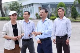 Phó Chủ tịch UBND tỉnh Gia Lai Nguyễn Tự Công Hoàng kiểm tra công tác khắc phục hậu quả bão số 13 tại các khu công nghiệp.