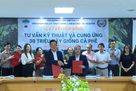 Tập đoàn HAGL và Viện WASI ký kết tư vấn kỹ thuật và cung ứng 30 triệu cây cà phê chất lượng cao.