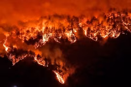 Cháy rừng ở thành phố Samcheok, tỉnh Gangwon, Hàn Quốc, ngày 4/3/2022. (Ảnh: Yonhap)