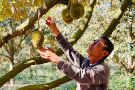 Kỳ 2: "Có sức người sỏi đá cũng thành cơm"