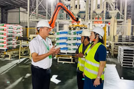 Giám sát các dự án đầu tư ngoài ngân sách tại phường An Nhơn Nam