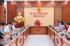Phó Chủ tịch UBND tỉnh Nguyễn Thị Thanh Lịch làm việc với CLB Quy Nhơn United