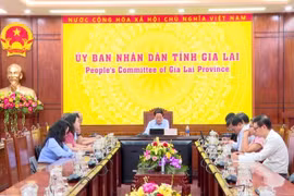 Chủ tịch UBND tỉnh Gia Lai làm việc với Hiệp hội Kinh tế - Văn hóa Hàn Việt và các doanh nghiệp Hàn Quốc