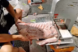 Giá heo hơi trong nước liên tục giảm: Hơn 124.000 tấn thịt ngoại giá rẻ có đang gây sức ép?
