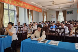 Tập huấn tăng cường năng lực quản lý và sử dụng nhãn hiệu chứng nhận “Sầu riêng Gia Lai”