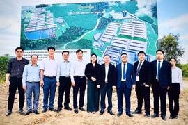 Bí thư Tỉnh ủy Thái Đại Ngọc thăm công trường Tổ hợp Muyuan ngay trong ngày khởi công