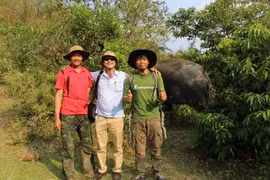 Vào rừng sâu Liên Sơn Lắk tìm voi sống tự do giữa đại ngàn Tây nguyên
