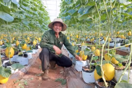 Đưa công nghệ hiện diện trong sản phẩm nông sản chủ lực