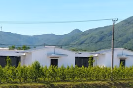 Trại chăn nuôi gà gây ảnh hưởng môi trường khu dân cư ở An Nhơn Tây
