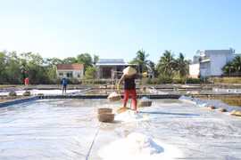 Diêm dân Gia Lai chật vật ngay từ đầu vụ muối 