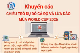 Cảnh giác với chiêu trò dụ dỗ cá độ và lừa đảo mùa World Cup 2026
