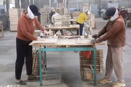 Khơi thông dòng vốn cho doanh nghiệp nông - lâm - thủy sản