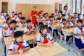 Năm của hành động và kiểm chứng